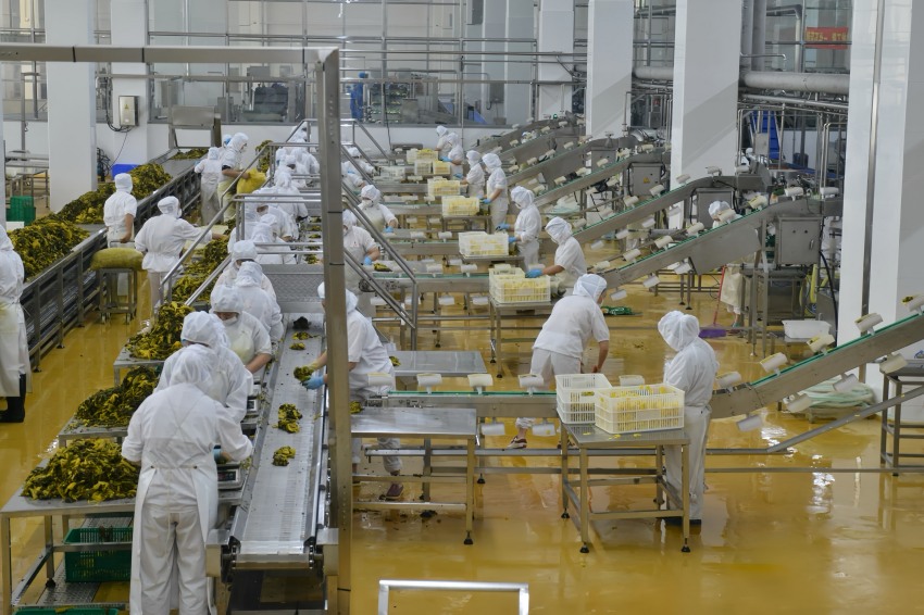 眉山泡菜 科技赋能产业升级，园区建设驱动发展新程