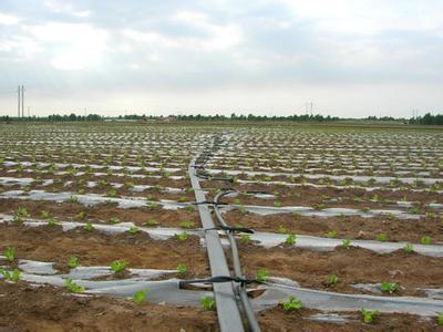 淄博温室滴灌产品价格解析与管材选择指南